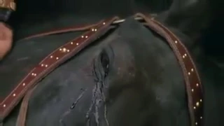 بطل جاكي شان في فليم يحارب جيش كامل 