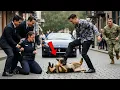 Lagu Mafia Son Attacked an Officer and Kicked Her K9 – Until a Navy SEAL Stepped In