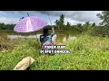 Download Lagu PANEN IKAN DI SPOT DANGKAL ll Kompilasi Video Mancing Pusanggala #pusanggala