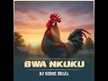 BWA NKUKU