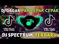 DJ PAK CEPAK CEPAK JEDER VERSI GAGAK VIRAL TIK TOK TERBARU 2021 🎶🎶🤙