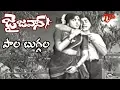 Lagu Paala Buggala Song |Jai Jawan Movie | ANR | Bharathi | Old Melody Songs - Old Telugu Songs