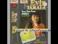 Download Lagu Evie Tamala ~ Rumah Bambu { Album Tang Ting Tong Dher 1987 }