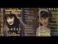 Download Lagu Album Kisah Senyum \u0026 Air mata Kandas Evie Tamala full album 🎧🎶