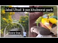 Madina Park | Khubsurat Park In Madina Jabal E Uhud k Nazdeek