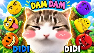 VERITY x Dam Dam Didi Didi