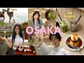 Download Lagu Sister trip to OSAKA, Japan | Cafe hop, Universal Studios, Nara, sushi, kimonos, shopping/exploring!