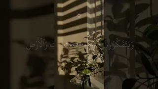 تلاوه من سوره آل عمران بصوت القارئ عمر بن ضياء الدين ارح قلبك سورة آل عمران قران كريم ﷺ 