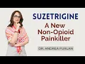 Doctor Explains A NEW Non-Opioid Analgesic Pill - Suzetrigine