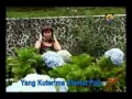 Download Lagu Ayu Tingting - Alamat Palsu