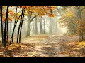 Download Lagu 10 HOURS Morning Mood - Edvard Grieg