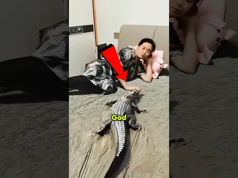 OMG 🤯 Mom Thought A Real Crocodile Was On her Bed! 😲😱 | #shorts #ytshorts