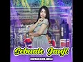 Lagu Karaoke Dangdut Koplo SEBUAH JANJI - Evie Tamala (HQ)