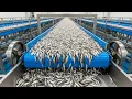 Lagu How MILLIONS Of Fish Eggs Are HATCHED Inside Industrial HATCHERIES ( Full Process )
