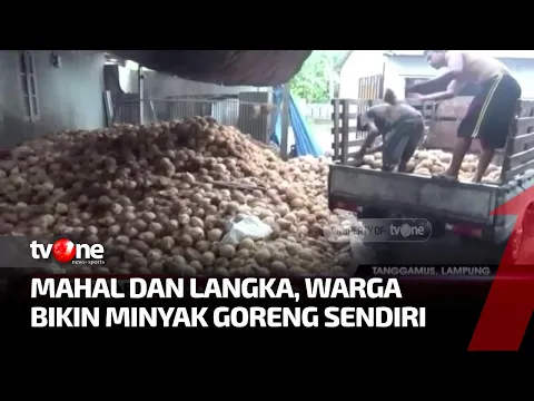 Semakin Langka, Warga Tanggamus Olah Kelapa Jadi Minyak Goreng