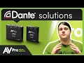 Product Launch - Dante Encoder Decoder MXnet Dante Encoder