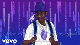 oskido zaka zaka visualizer ft professor pex africah meez