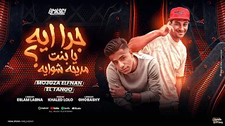 جرا اي يا بنت مديحة شواية معجزة الفنان و التانجو توزيع خالد لولو انتاج المصري برودكشن 2025 