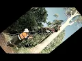 Tree Removal Big gum EASY RIGHT Shoot lines Drill ascender test Dandenong Ranges Australia