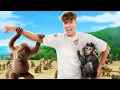 Download Lagu Ich gehe in einen Affenpark