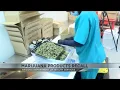 Voluntary recall of certain marijuana products