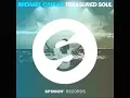 Michael Calfan - Treasured Soul (Original Mix)