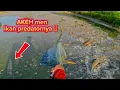 Download Lagu ternyata dispot ini  banyak banget ikan predatornya yang gedi dowo