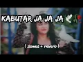 Lagu #kabutar  ja ja ja 🕊🥀| |#slowedandreverb| #full #reverberation |#latamangeshkar | #subscribe #please