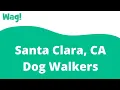 Santa Clara CA Dog Walkers Wag