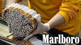 Download How Marlboro Became the #1 Cigarette Brand MP3