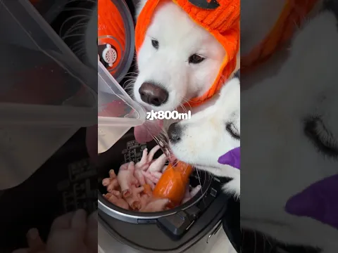 ハロウィン風コラーゲンゼリーつくったら爆食してくれました!