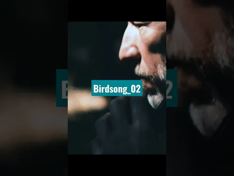 Birdsong_02