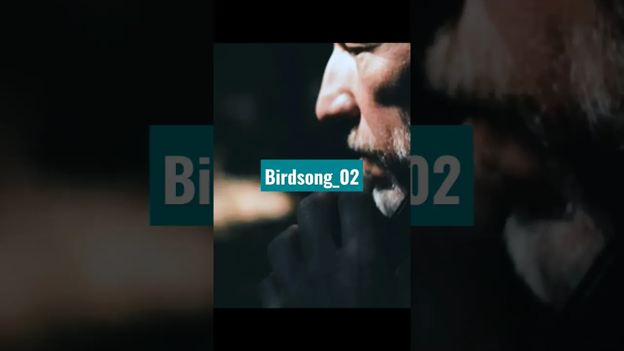 Birdsong_02