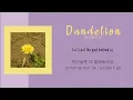 Download Lagu Dandelion(민들레) _  OOHYO(우효)  ENGHANROM Lyrics