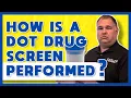How is a DOT drug screen performed