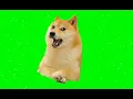 Download Lagu talking doge and cheems green screen  No copyright