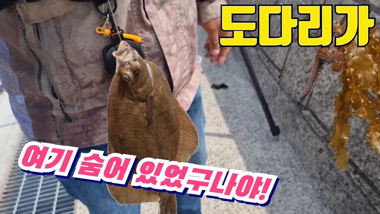 관련 영상 썸네일