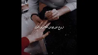 معلش اصلى مدلعها تامر عاشور 