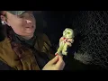 Nighttime owl research Check It Out with Chelsea