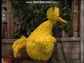 Classic Sesame Street - Big Bird Quiet and Loudly (1994)