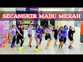 Download Lagu SECANGKIR MADU MERAH | TIKTOK VIRAL | DANGDUT  REMIX | CHOREO ZIN CHICIE