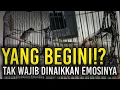 Lagu CENDET YANG BEGINI TAK WAJIB DINAIKKAN EMOSINYA?!