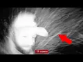 Download Lagu DE ENGERE SPIEGEL IN DIT HUIS IS EEN PORTAAL VOOR DEMONEN