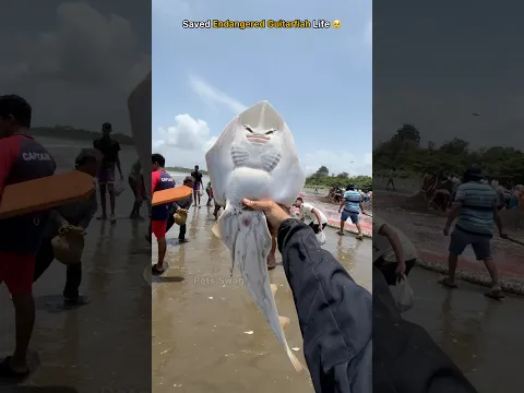 It deserved to see the ocean one more time 🥹