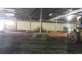 03 RCS Construction Solid Construction JC Penney Floor Slab Replacement 2015