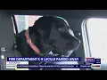 Altoona firefighters say goodbye to K-9 Lucille after sudden death WTAJ
