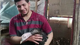 كل حاجه اتنقلت من مكانها 