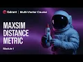 MaxSim Distance Metric Qdrant Multi-Vector Search