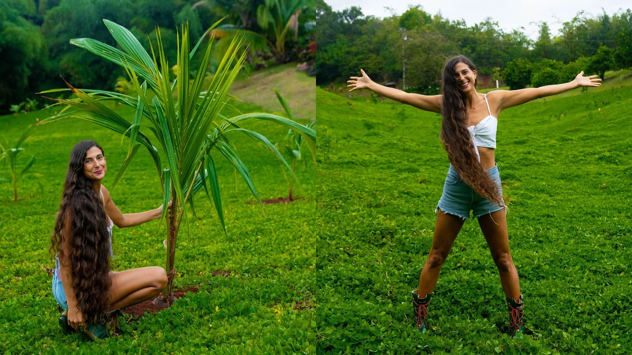 700+ Fruit Trees Planted!  Before & After Orchard Transformation + Harvesting Bananas  Vegan Life