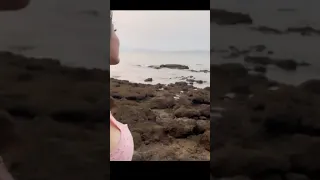 hot bollywood actress on beach